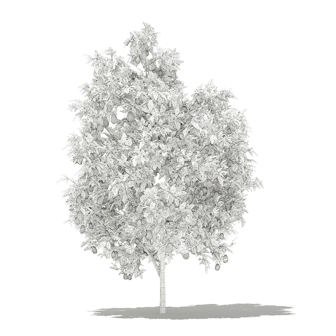 3D fruit trees volume 105 https://p.turbosquid.com/ts-thumb/PG/LIpBge/JWHe1jqp/cgaxis_models_105_0400grid/jpg/1533498032/1920x1080/fit_q87/5ddd77c48e27a3bf86f83540be4062410f2d7b37/cgaxis_models_105_0400grid.jpg