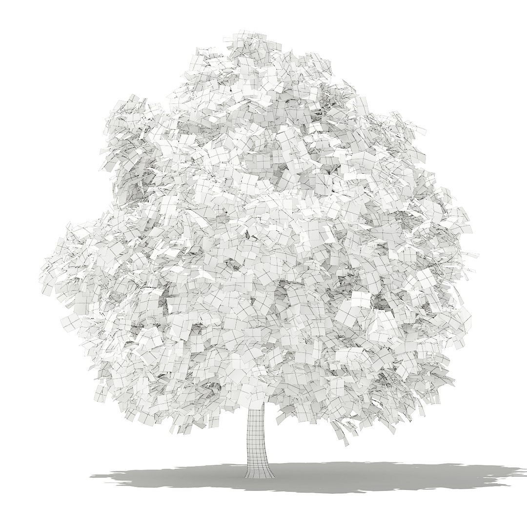 3D fruit trees volume 105 https://p.turbosquid.com/ts-thumb/PG/LIpBge/K4ZKoxjl/cgaxis_models_105_4700grid/jpg/1533498034/1920x1080/fit_q87/1ae40b74fbc51ec4d5f03d5c592ada3f7fb1e2e8/cgaxis_models_105_4700grid.jpg