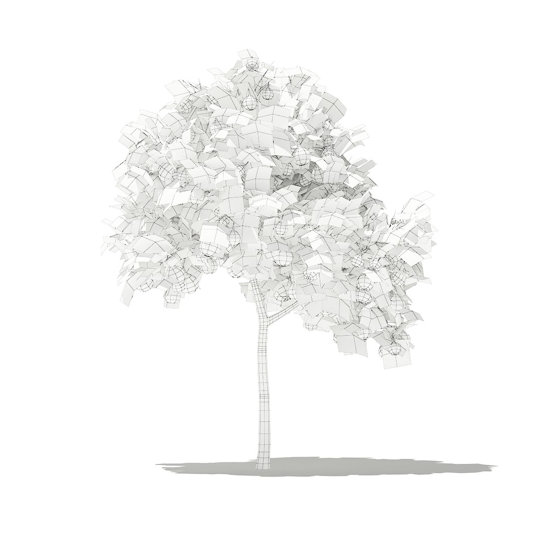 3D fruit trees volume 105 https://p.turbosquid.com/ts-thumb/PG/LIpBge/Ko0U7P2k/cgaxis_models_105_1200grid/jpg/1533498033/1920x1080/fit_q87/17dec03ef1471fe0c1158e3c4a7117f7e1697429/cgaxis_models_105_1200grid.jpg