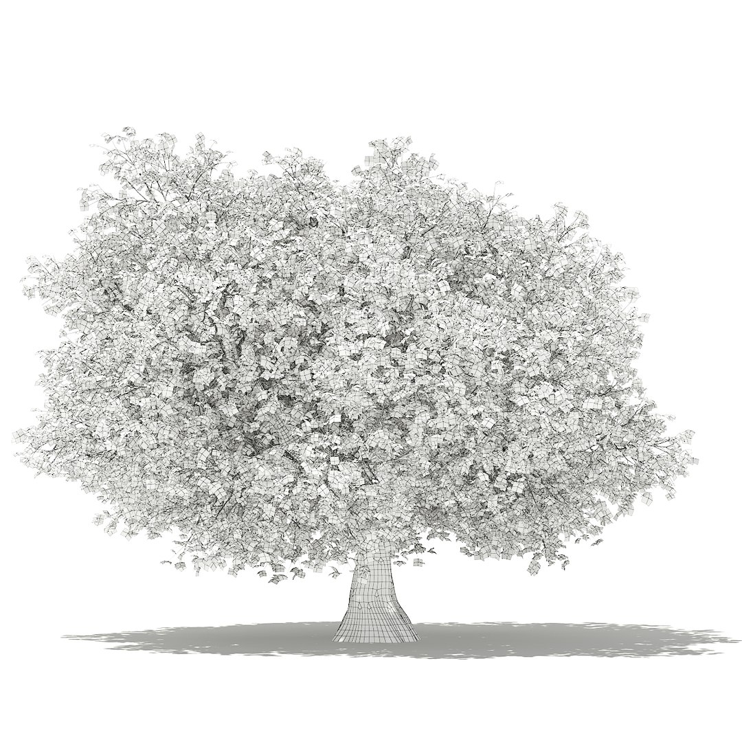 3D fruit trees volume 105 https://p.turbosquid.com/ts-thumb/PG/LIpBge/LCI99VCs/cgaxis_models_105_3700grid/jpg/1533498034/1920x1080/fit_q87/0320c871e07fd9481c760f14e0d0e1248757b9b1/cgaxis_models_105_3700grid.jpg