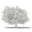 CGAxis Models Volume 105 - Fruit Trees Unreal Engine