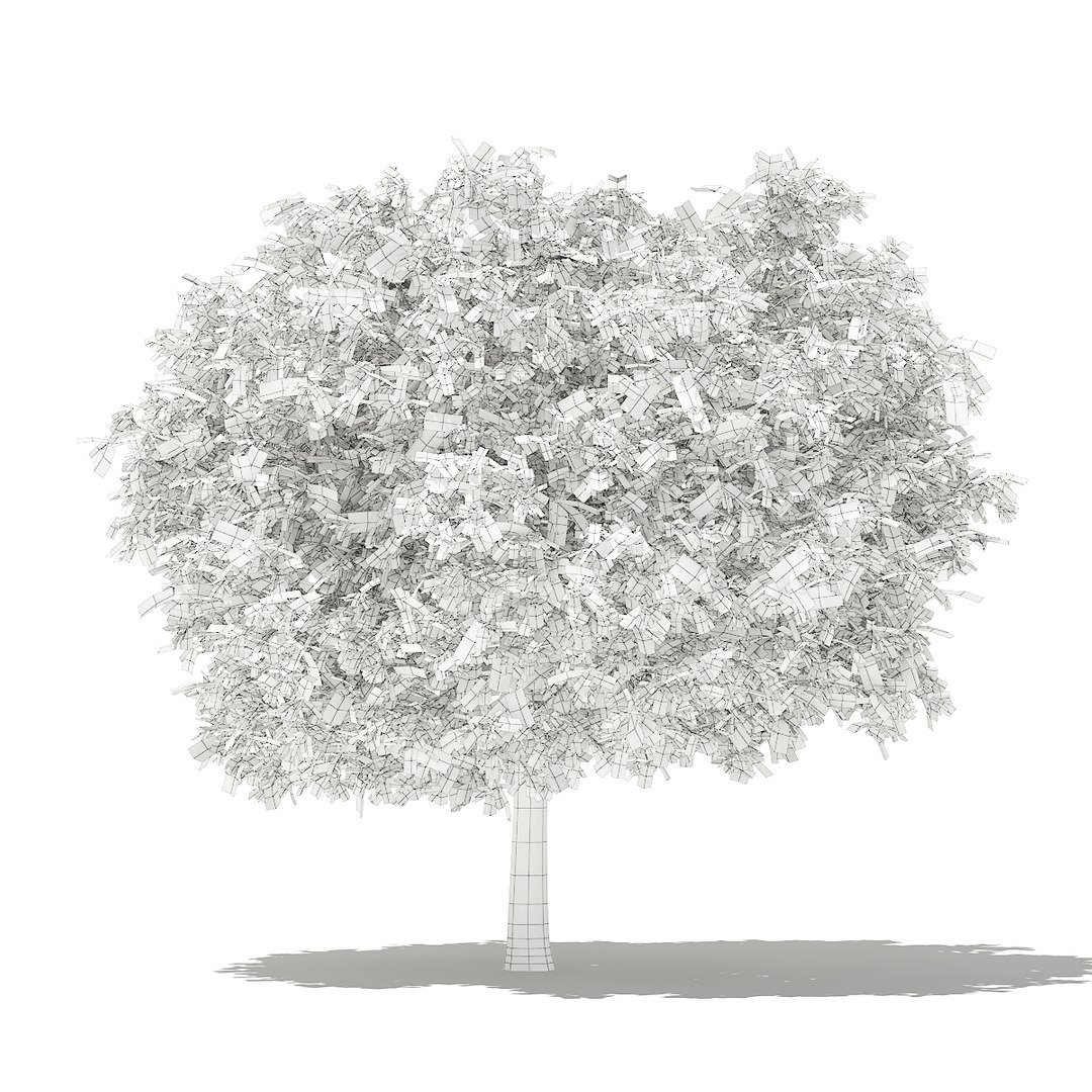3D fruit trees volume 105 https://p.turbosquid.com/ts-thumb/PG/LIpBge/LTEFn0gX/cgaxis_models_105_5500grid/jpg/1533498035/1920x1080/fit_q87/c1b218c7e3f705881d7ddbb6cbd087216688273c/cgaxis_models_105_5500grid.jpg