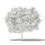 CGAxis Models Volume 105 - Fruit Trees Unreal Engine