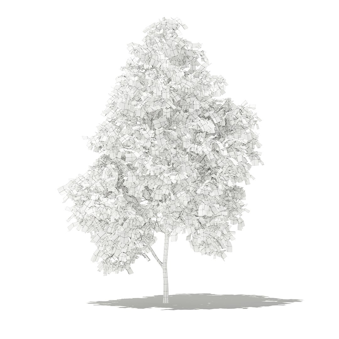 3D fruit trees volume 105 https://p.turbosquid.com/ts-thumb/PG/LIpBge/MXqlWij2/cgaxis_models_105_2300grid/jpg/1533498033/1920x1080/fit_q87/0f625a494e0e1e63919c791faa94aa884abc4f14/cgaxis_models_105_2300grid.jpg