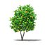 CGAxis Models Volume 105 - Fruit Trees Unreal Engine