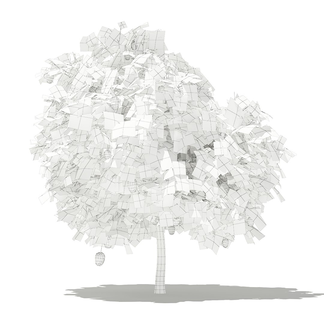 3D fruit trees volume 105 https://p.turbosquid.com/ts-thumb/PG/LIpBge/OG1XlQ5U/cgaxis_models_105_4400grid/jpg/1533498034/1920x1080/fit_q87/da89090d940431484f7c3205f2afcbc1def26026/cgaxis_models_105_4400grid.jpg