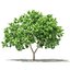 CGAxis Models Volume 105 - Fruit Trees Unreal Engine