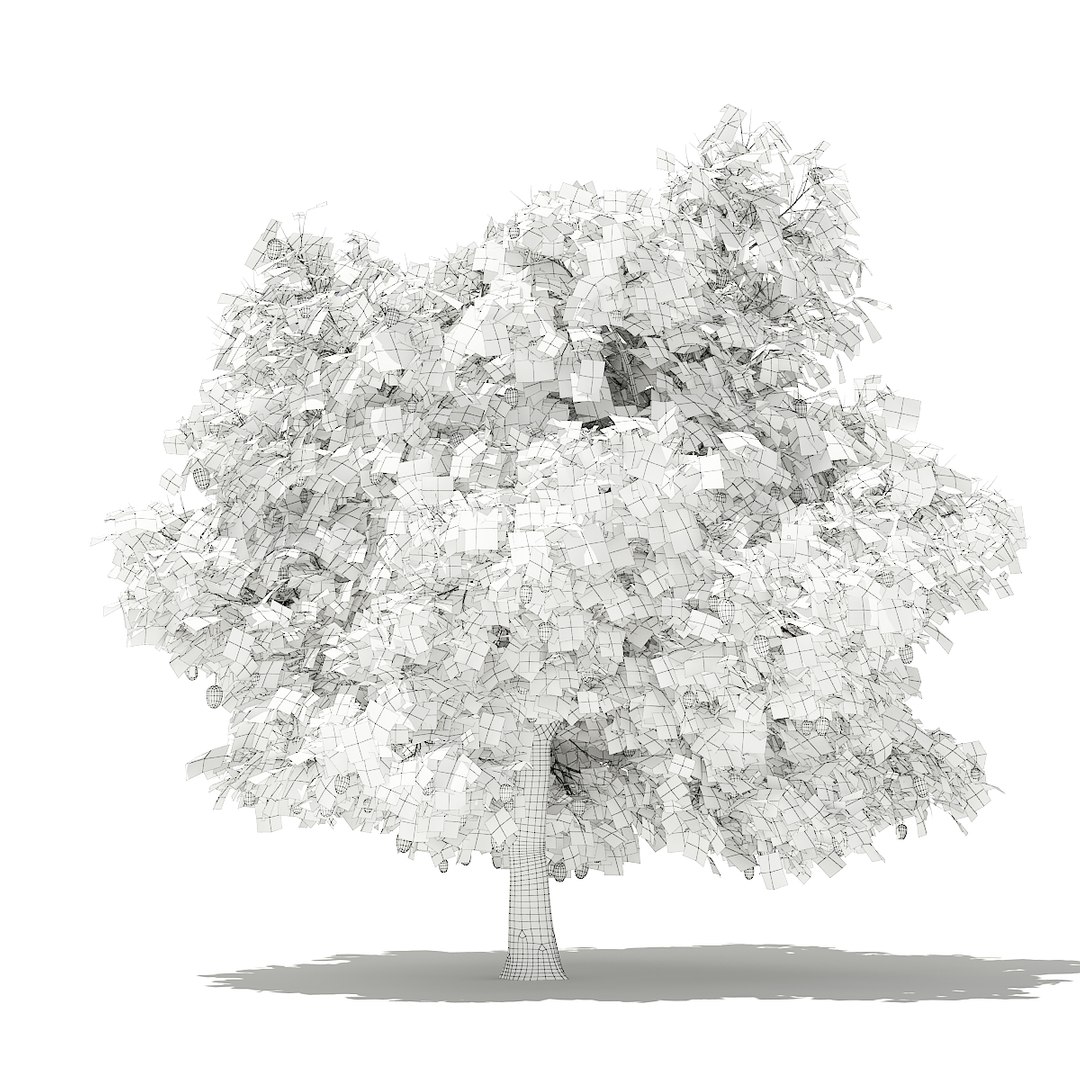 3D fruit trees volume 105 https://p.turbosquid.com/ts-thumb/PG/LIpBge/P5FbV56x/cgaxis_models_105_5000grid/jpg/1533498034/1920x1080/fit_q87/fc9bb059201108ac1d5fae9dbbf68abeec8350cd/cgaxis_models_105_5000grid.jpg