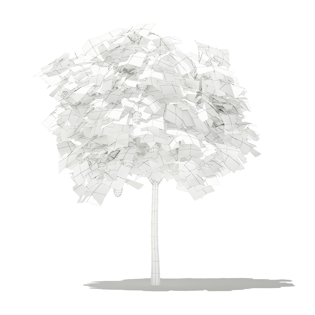 3D fruit trees volume 105 https://p.turbosquid.com/ts-thumb/PG/LIpBge/PJ8UEKNl/cgaxis_models_105_4200grid/jpg/1533498034/1920x1080/fit_q87/c037907ab0b8f414e3f9289016ae8417cd8e3707/cgaxis_models_105_4200grid.jpg
