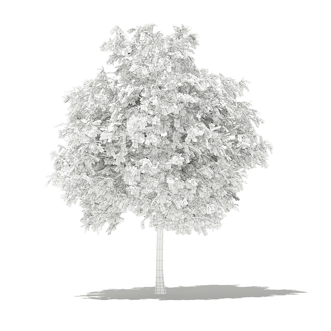 3D fruit trees volume 105 https://p.turbosquid.com/ts-thumb/PG/LIpBge/PXx2iyWy/cgaxis_models_105_5300grid/jpg/1533498034/1920x1080/fit_q87/f59d92233395520978978f5b89c52b9e2e0fa7c8/cgaxis_models_105_5300grid.jpg