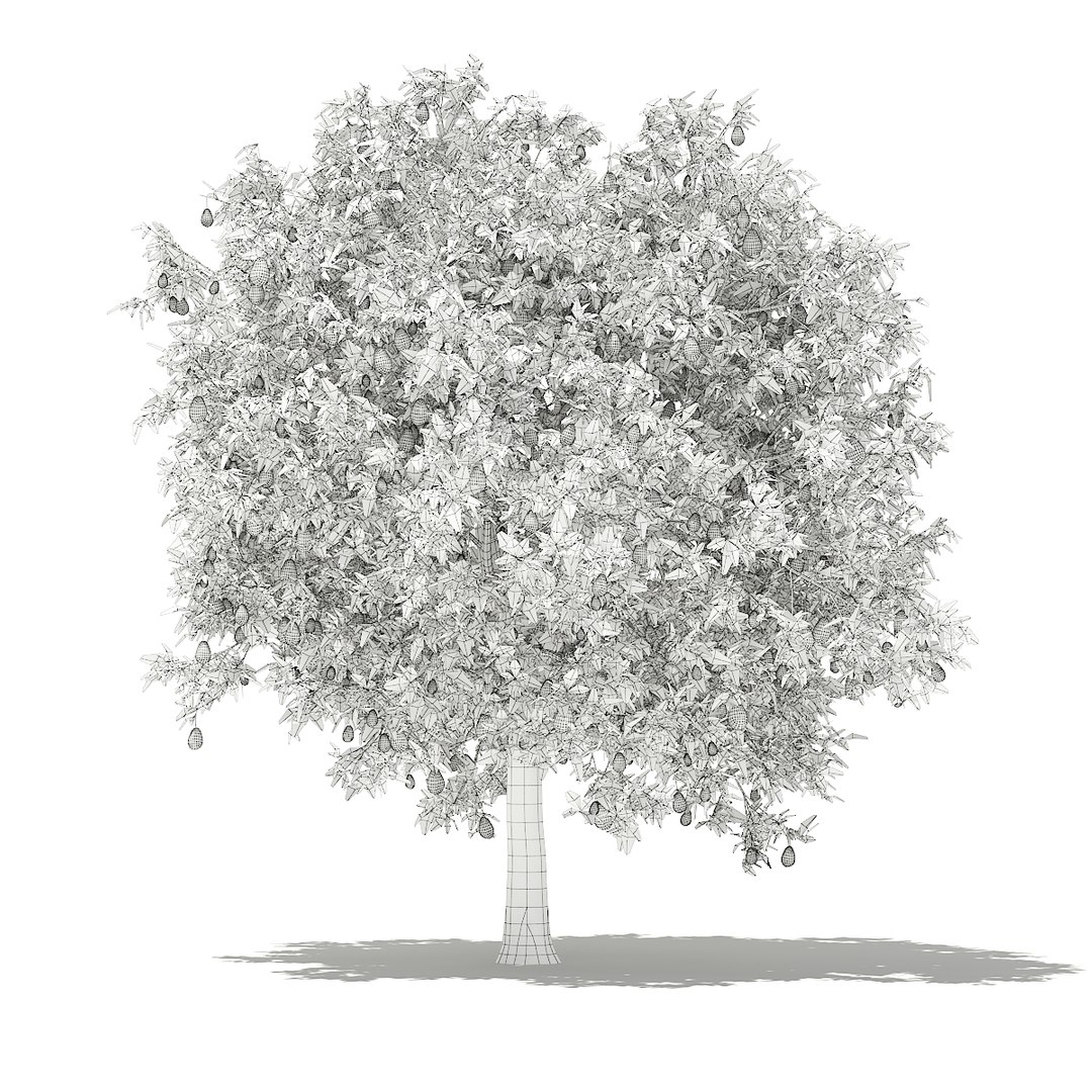 3D fruit trees volume 105 https://p.turbosquid.com/ts-thumb/PG/LIpBge/PkPWMXzq/cgaxis_models_105_0600grid/jpg/1533498032/1920x1080/fit_q87/1f1f519e9f0d57e425540d1b480d4ea210ade0b3/cgaxis_models_105_0600grid.jpg