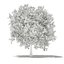 CGAxis Models Volume 105 - Fruit Trees Unreal Engine