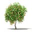 CGAxis Models Volume 105 - Fruit Trees Unreal Engine