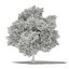 CGAxis Models Volume 105 - Fruit Trees Unreal Engine