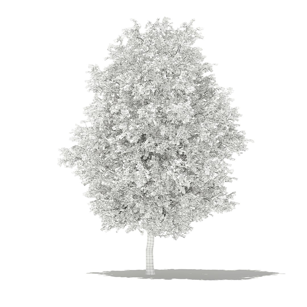 3D fruit trees volume 105 https://p.turbosquid.com/ts-thumb/PG/LIpBge/UhzDHEl3/cgaxis_models_105_2700grid/jpg/1533498033/1920x1080/fit_q87/7adb9b7b95f555a5ae67c11fcea6b836f3138968/cgaxis_models_105_2700grid.jpg