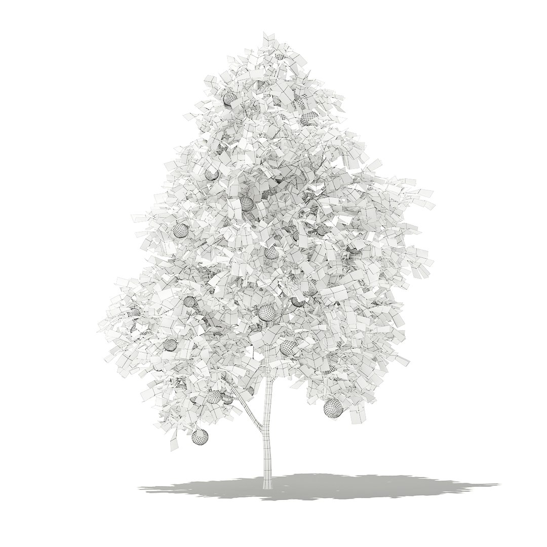 3D fruit trees volume 105 https://p.turbosquid.com/ts-thumb/PG/LIpBge/VIVz6Zod/cgaxis_models_105_2400grid/jpg/1533498033/1920x1080/fit_q87/42c6d2c509ee6422fcb3a0cf160d22b5a2412259/cgaxis_models_105_2400grid.jpg