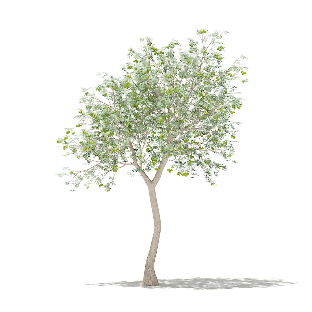 3D fruit trees volume 105 https://p.turbosquid.com/ts-thumb/PG/LIpBge/W03HEO8K/cgaxis_models_105_3400/jpg/1533498034/1920x1080/fit_q87/234df4b2ae0e9ff8cdcceb6d26c2b21e4eed2be5/cgaxis_models_105_3400.jpg