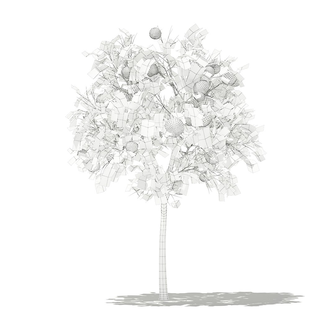 3D fruit trees volume 105 https://p.turbosquid.com/ts-thumb/PG/LIpBge/WrpEpxce/cgaxis_models_105_2200grid/jpg/1533498033/1920x1080/fit_q87/1dd551c716e6978d31f028457ed84cf3a06db083/cgaxis_models_105_2200grid.jpg