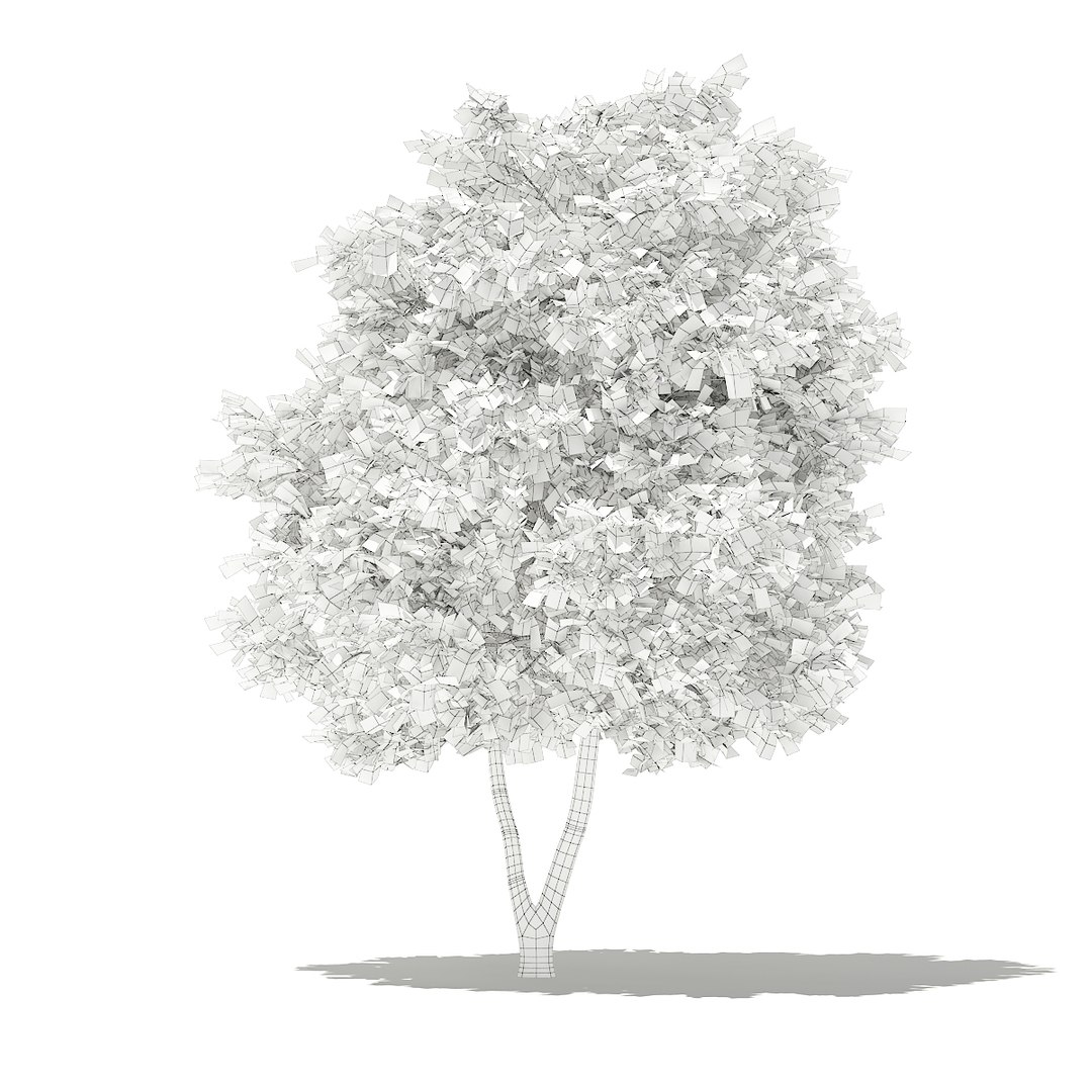 3D fruit trees volume 105 https://p.turbosquid.com/ts-thumb/PG/LIpBge/Y66BjPgz/cgaxis_models_105_2500grid/jpg/1533498033/1920x1080/fit_q87/791619bec182fa2960562601e01b48446bafcb12/cgaxis_models_105_2500grid.jpg