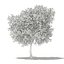 CGAxis Models Volume 105 - Fruit Trees Unreal Engine