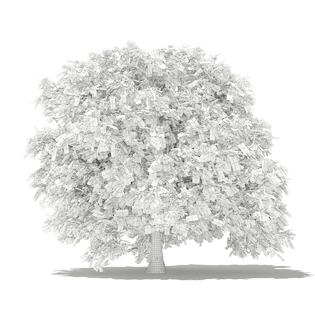 3D fruit trees volume 105 https://p.turbosquid.com/ts-thumb/PG/LIpBge/ZHhtluWd/cgaxis_models_105_5900grid/jpg/1533498035/1920x1080/fit_q87/05200bdf6978ae9dc4bfc6b49b375c7b8a55987f/cgaxis_models_105_5900grid.jpg