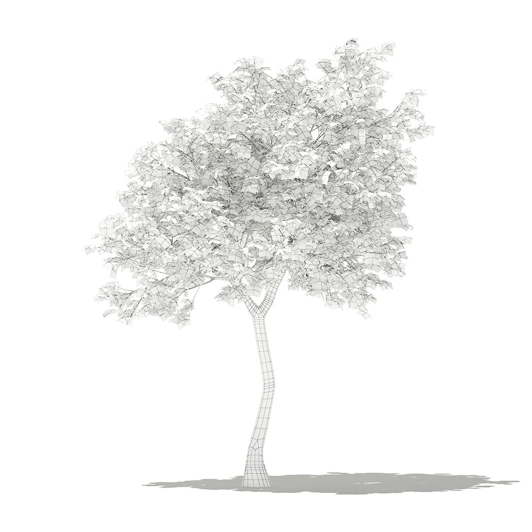 3D fruit trees volume 105 https://p.turbosquid.com/ts-thumb/PG/LIpBge/aiyv8XYh/cgaxis_models_105_3300grid/jpg/1533498034/1920x1080/fit_q87/4c3791ae0bed352bc73c88b7f8c51458d06b20cf/cgaxis_models_105_3300grid.jpg