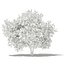 CGAxis Models Volume 105 - Fruit Trees Unreal Engine