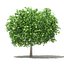 CGAxis Models Volume 105 - Fruit Trees Unreal Engine