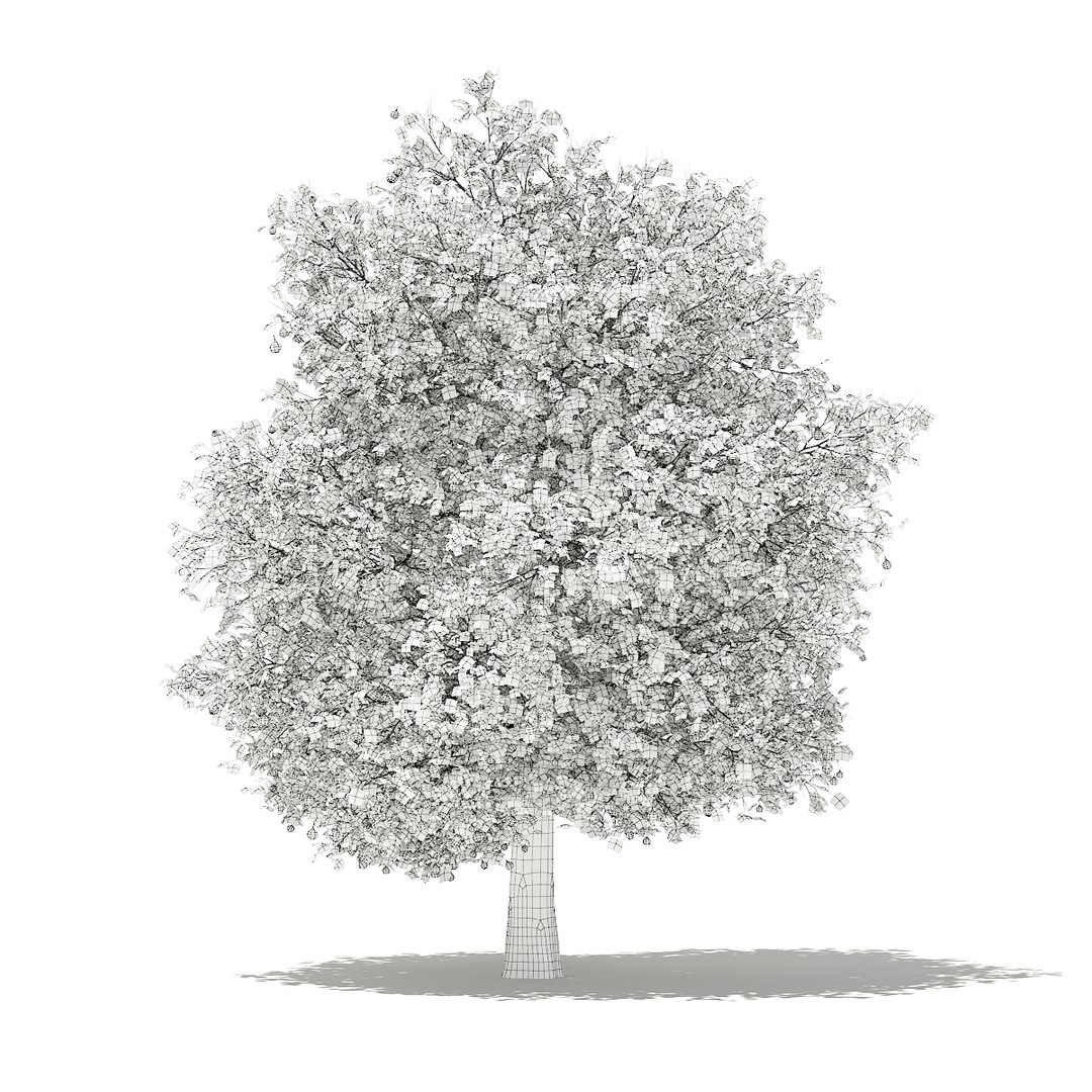 3D fruit trees volume 105 https://p.turbosquid.com/ts-thumb/PG/LIpBge/hfhOIPrj/cgaxis_models_105_2000grid/jpg/1533498033/1920x1080/fit_q87/2d7c60c19cf6dc207757b978a5241c1422ec77e9/cgaxis_models_105_2000grid.jpg