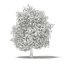 CGAxis Models Volume 105 - Fruit Trees Unreal Engine