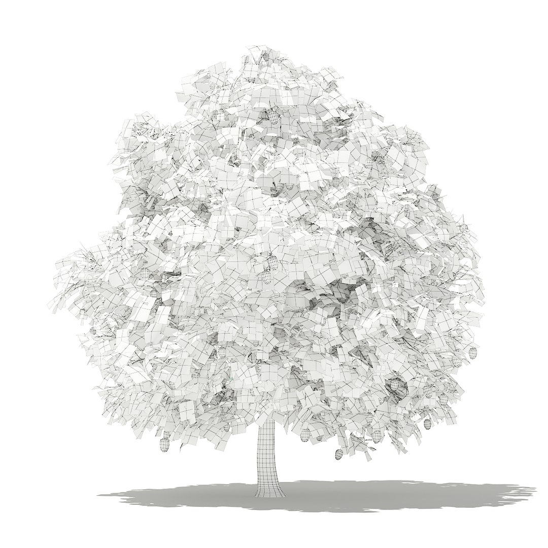 3D fruit trees volume 105 https://p.turbosquid.com/ts-thumb/PG/LIpBge/iH3GFGhC/cgaxis_models_105_4800grid/jpg/1533498034/1920x1080/fit_q87/822c2f1a367e8dd50f462858ff956b5c2738d9c4/cgaxis_models_105_4800grid.jpg