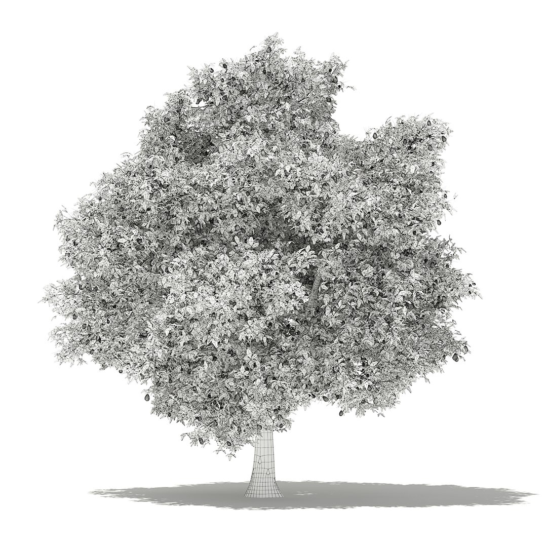 3D fruit trees volume 105 https://p.turbosquid.com/ts-thumb/PG/LIpBge/iRsBnnxK/cgaxis_models_105_1000grid/jpg/1533498033/1920x1080/fit_q87/565186d877b88fe58cfb46f734aaa18a22f55214/cgaxis_models_105_1000grid.jpg