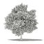 CGAxis Models Volume 105 - Fruit Trees Unreal Engine
