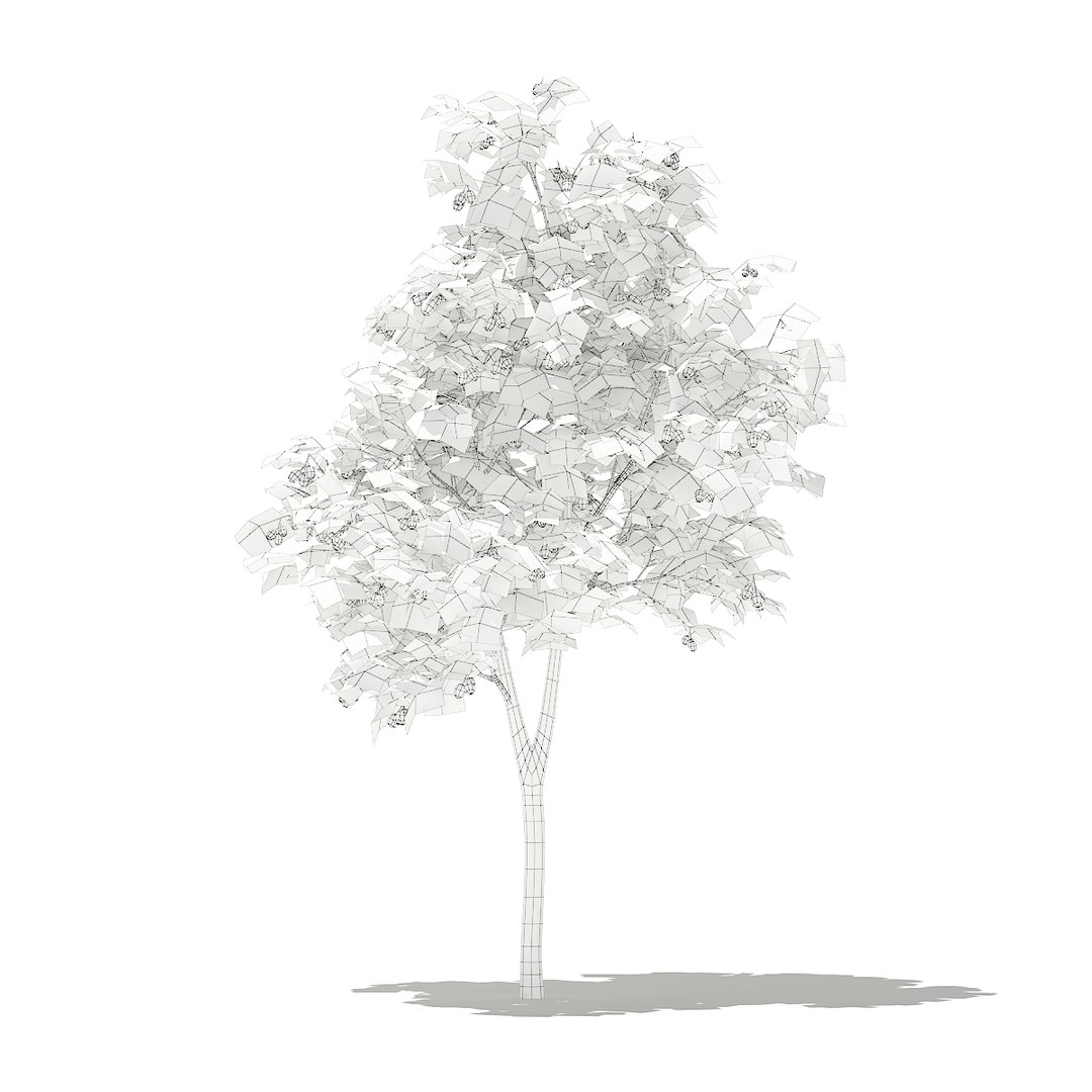 3D fruit trees volume 105 https://p.turbosquid.com/ts-thumb/PG/LIpBge/lmhy8qnY/cgaxis_models_105_3200grid/jpg/1533498034/1920x1080/fit_q87/f36257940f82665fa63b270f1181de943f786135/cgaxis_models_105_3200grid.jpg