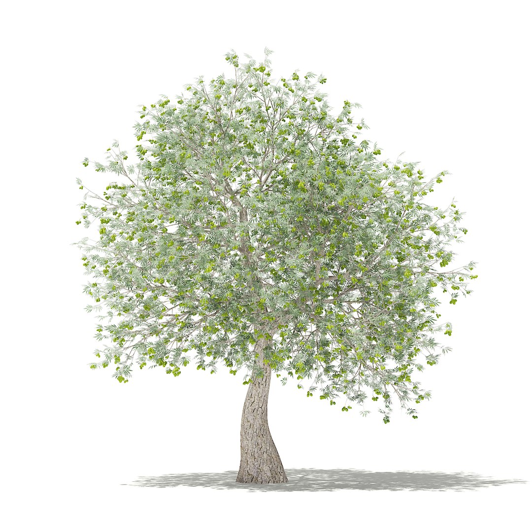 3D fruit trees volume 105 https://p.turbosquid.com/ts-thumb/PG/LIpBge/lms6lzfZ/cgaxis_models_105_4000/jpg/1533498034/1920x1080/fit_q87/57a5b107fb789758edec837956cb6203e39cd0f1/cgaxis_models_105_4000.jpg