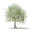 CGAxis Models Volume 105 - Fruit Trees Unreal Engine