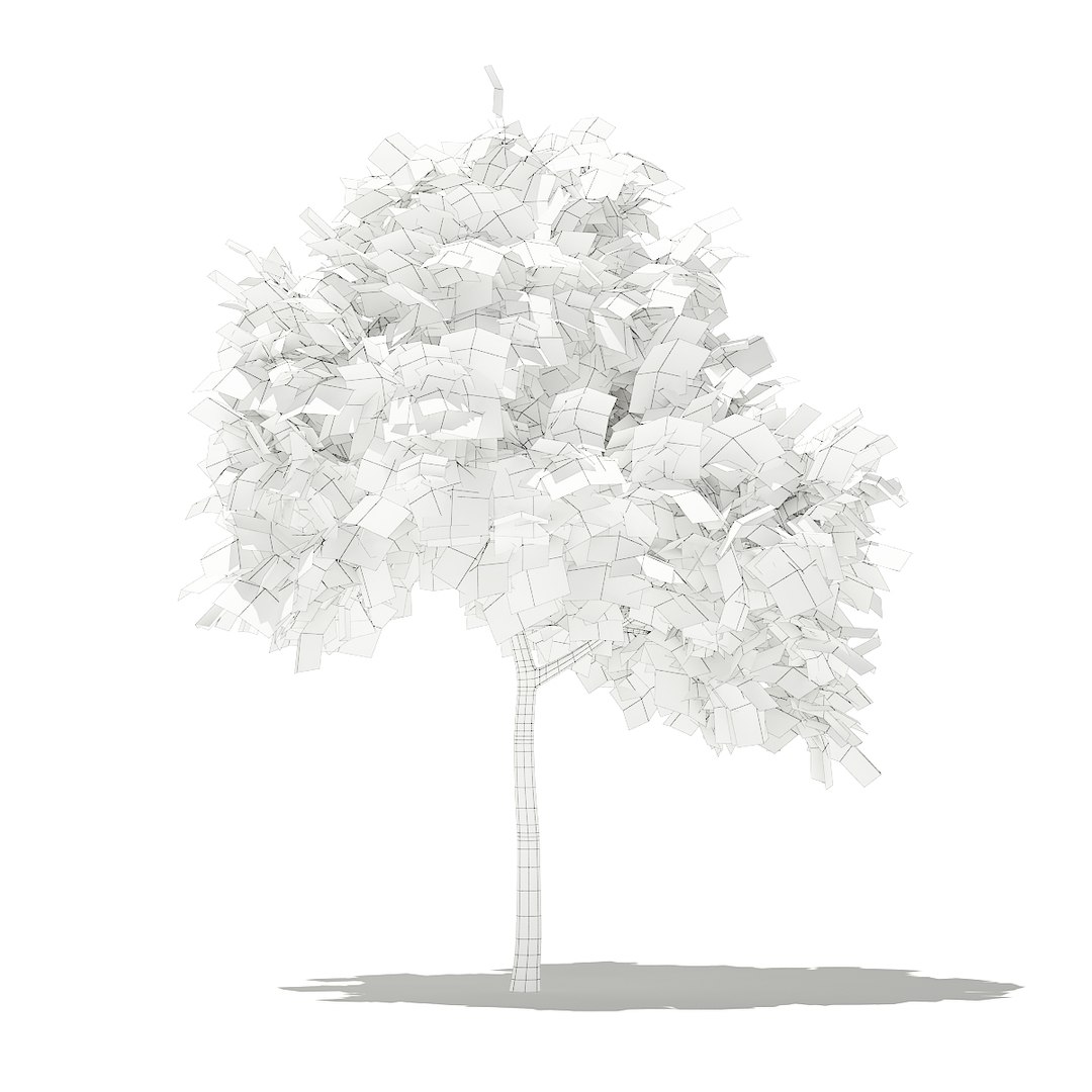 3D fruit trees volume 105 https://p.turbosquid.com/ts-thumb/PG/LIpBge/lnJgZqse/cgaxis_models_105_1100grid/jpg/1533498033/1920x1080/fit_q87/79b3fae75e400a519959a77321f9c24edf111584/cgaxis_models_105_1100grid.jpg