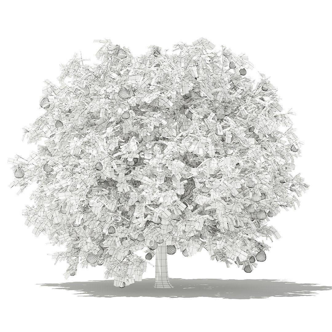 3D fruit trees volume 105 https://p.turbosquid.com/ts-thumb/PG/LIpBge/nMsj7TJJ/cgaxis_models_105_5800grid/jpg/1533498035/1920x1080/fit_q87/0fd99fb733dbef43e91e7bf9fe6ac4cd4da2290f/cgaxis_models_105_5800grid.jpg