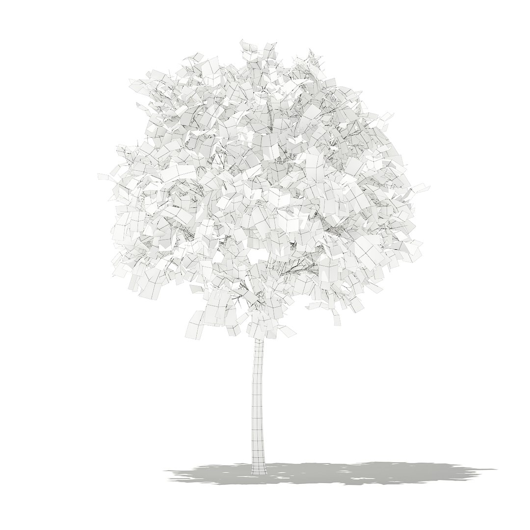 3D fruit trees volume 105 https://p.turbosquid.com/ts-thumb/PG/LIpBge/oHYRn6cg/cgaxis_models_105_2100grid/jpg/1533498033/1920x1080/fit_q87/839a0fb50295d9f3dc8976017e0637d1c2cee775/cgaxis_models_105_2100grid.jpg