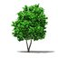 CGAxis Models Volume 105 - Fruit Trees Unreal Engine