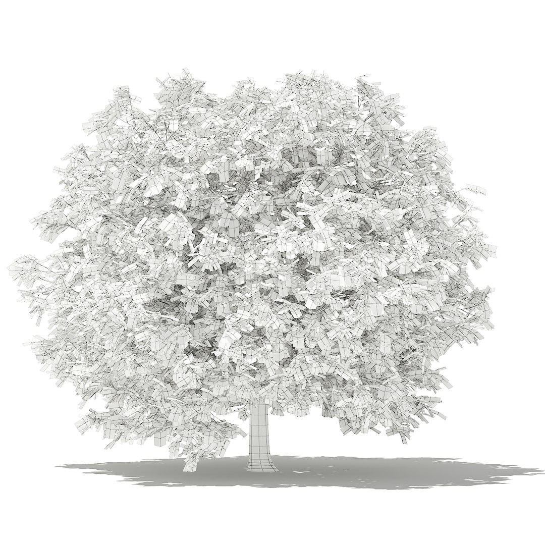 3D fruit trees volume 105 https://p.turbosquid.com/ts-thumb/PG/LIpBge/p7oBVtFV/cgaxis_models_105_5700grid/jpg/1533498035/1920x1080/fit_q87/14d22ed850be6f740f3f3e2aa19a660c3d7a12fc/cgaxis_models_105_5700grid.jpg
