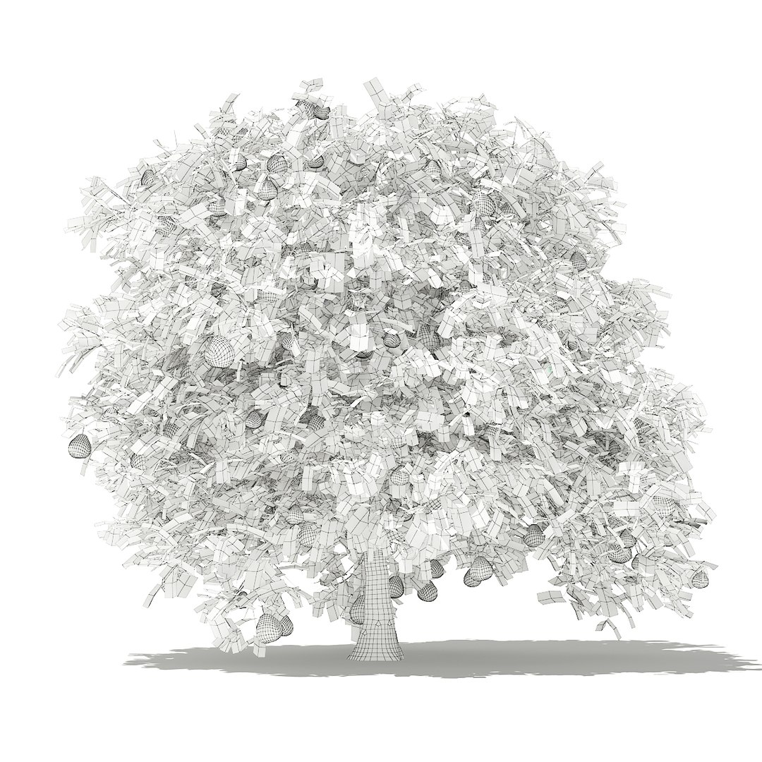 3D fruit trees volume 105 https://p.turbosquid.com/ts-thumb/PG/LIpBge/pXh32gx1/cgaxis_models_105_6000grid/jpg/1533498035/1920x1080/fit_q87/f204fe15a3cebd1e017509ef8181b055d64aec7a/cgaxis_models_105_6000grid.jpg
