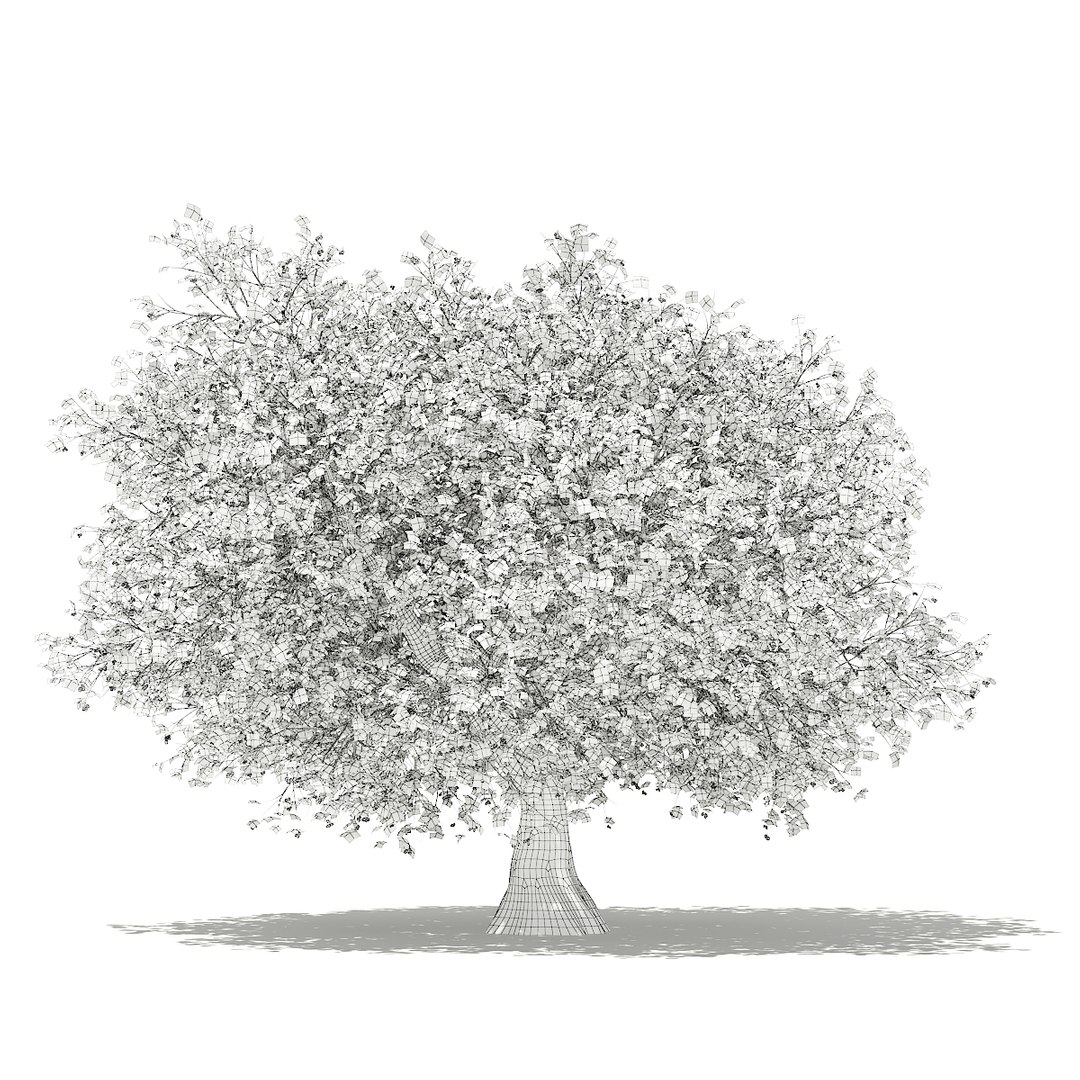 3D fruit trees volume 105 https://p.turbosquid.com/ts-thumb/PG/LIpBge/rYumzo3b/cgaxis_models_105_3800grid/jpg/1533498034/1920x1080/fit_q87/0540ec8107545e944be344f4999a689095a72044/cgaxis_models_105_3800grid.jpg