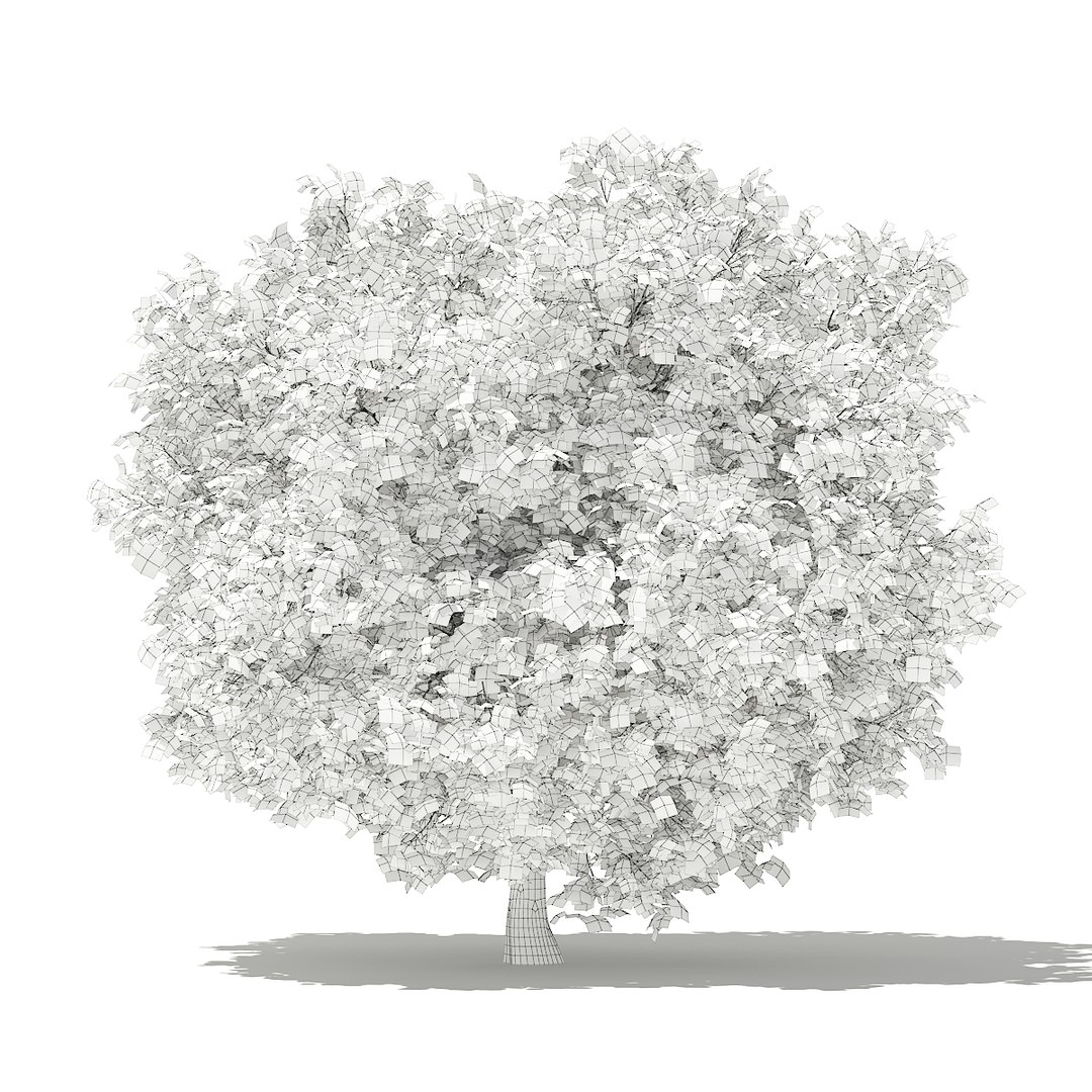 3D fruit trees volume 105 https://p.turbosquid.com/ts-thumb/PG/LIpBge/rleNXOnb/cgaxis_models_105_1700grid/jpg/1533498033/1920x1080/fit_q87/949295c5b1c6caca5cef6dfb77621edfde1e26d9/cgaxis_models_105_1700grid.jpg