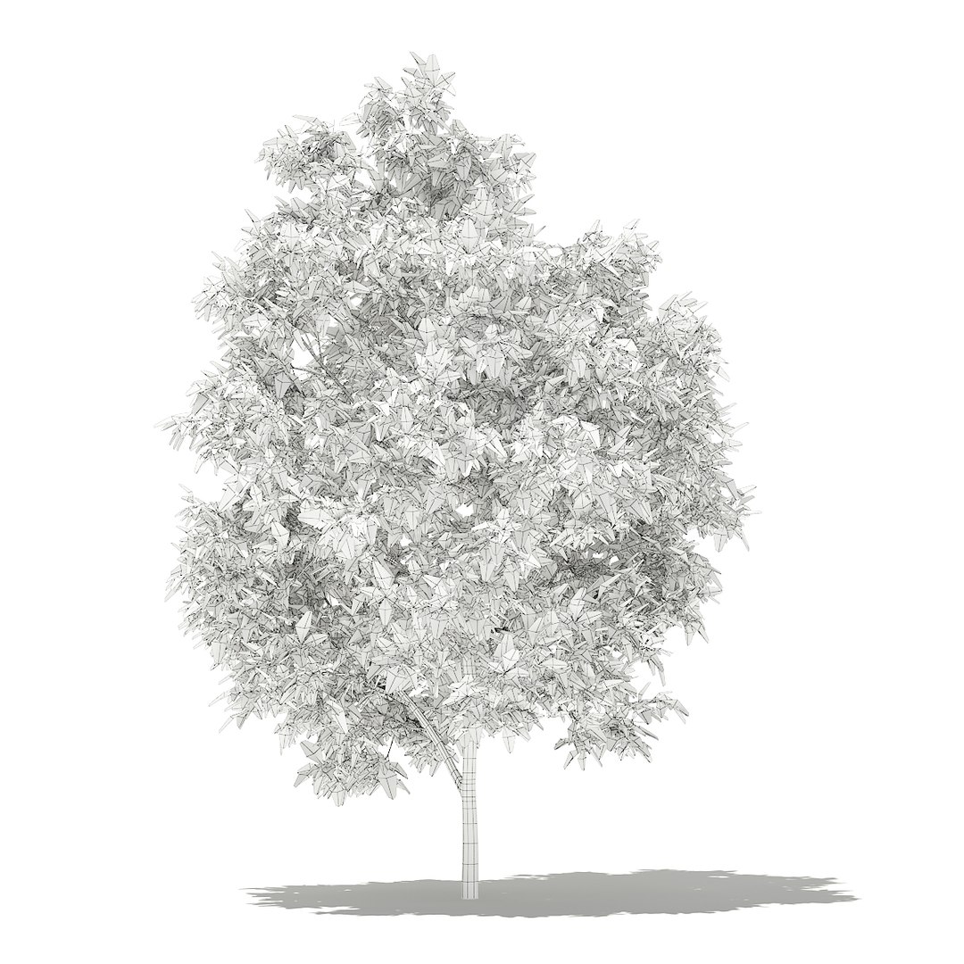 3D fruit trees volume 105 https://p.turbosquid.com/ts-thumb/PG/LIpBge/tJZ9l9di/cgaxis_models_105_0300grid/jpg/1533498032/1920x1080/fit_q87/de5a90fb1d75e500b2f2b77ffaa3378d4d3385ff/cgaxis_models_105_0300grid.jpg