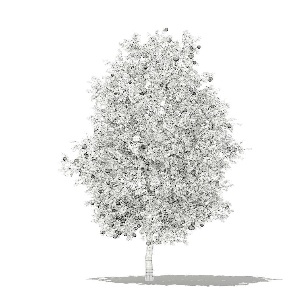3D fruit trees volume 105 https://p.turbosquid.com/ts-thumb/PG/LIpBge/uDpzJdgw/cgaxis_models_105_2800grid/jpg/1533498033/1920x1080/fit_q87/4305a119fefe80707399544e4994c78cd5a6c0f6/cgaxis_models_105_2800grid.jpg