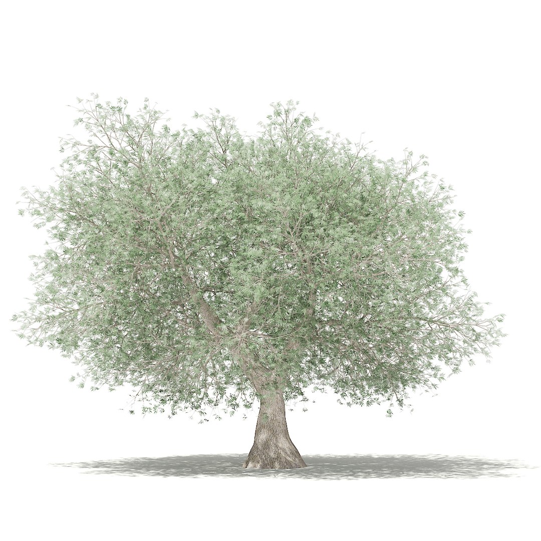 3D fruit trees volume 105 https://p.turbosquid.com/ts-thumb/PG/LIpBge/vEbLimUu/cgaxis_models_105_3700/jpg/1533498034/1920x1080/fit_q87/25a61b340453a8cc5c4c01906a7849a71d5af173/cgaxis_models_105_3700.jpg