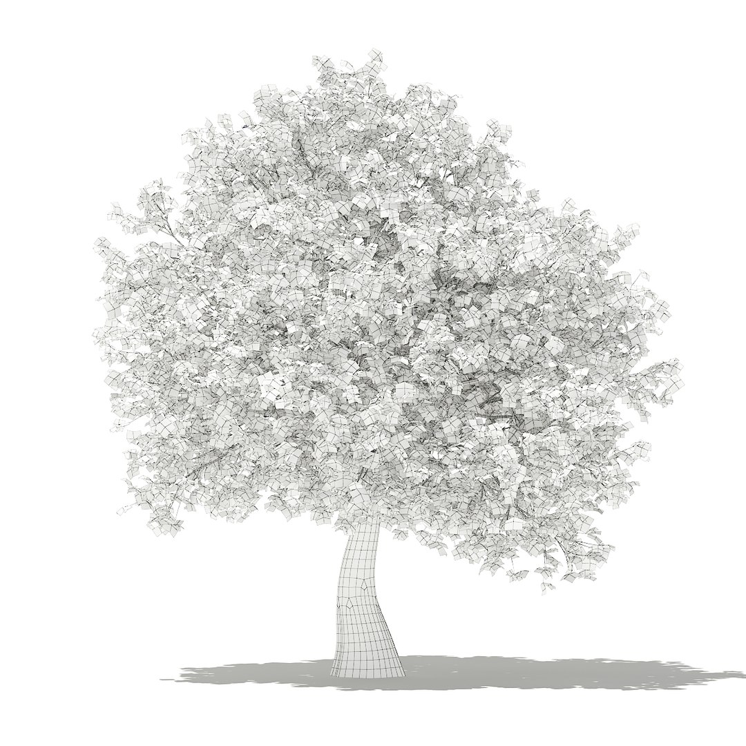 3D fruit trees volume 105 https://p.turbosquid.com/ts-thumb/PG/LIpBge/vUfj9eAa/cgaxis_models_105_3900grid/jpg/1533498034/1920x1080/fit_q87/a11510412863f006115c9516926aa527d57d866f/cgaxis_models_105_3900grid.jpg