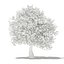 CGAxis Models Volume 105 - Fruit Trees Unreal Engine