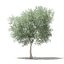 CGAxis Models Volume 105 - Fruit Trees Unreal Engine